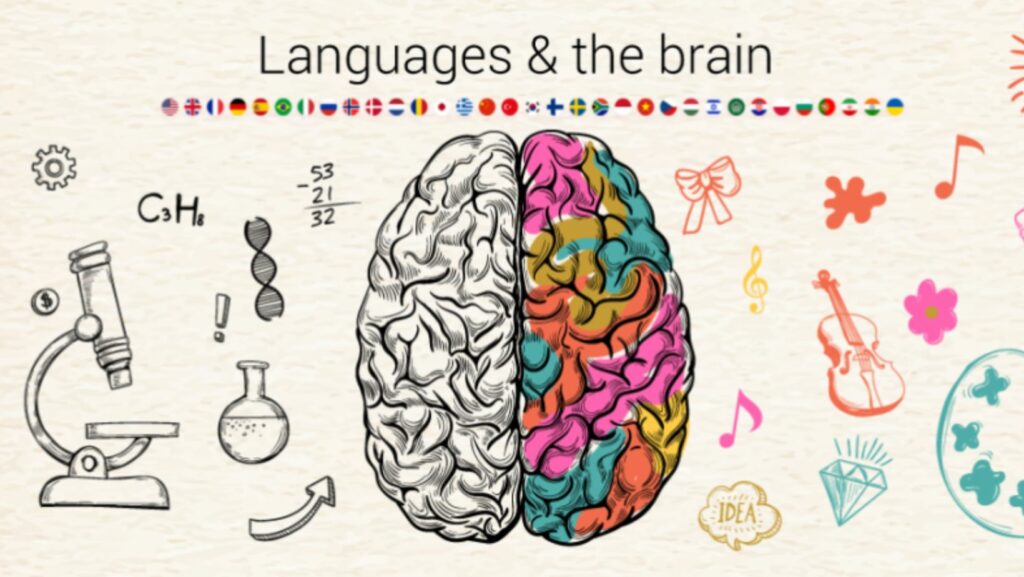 philosophy of language vs linguistics