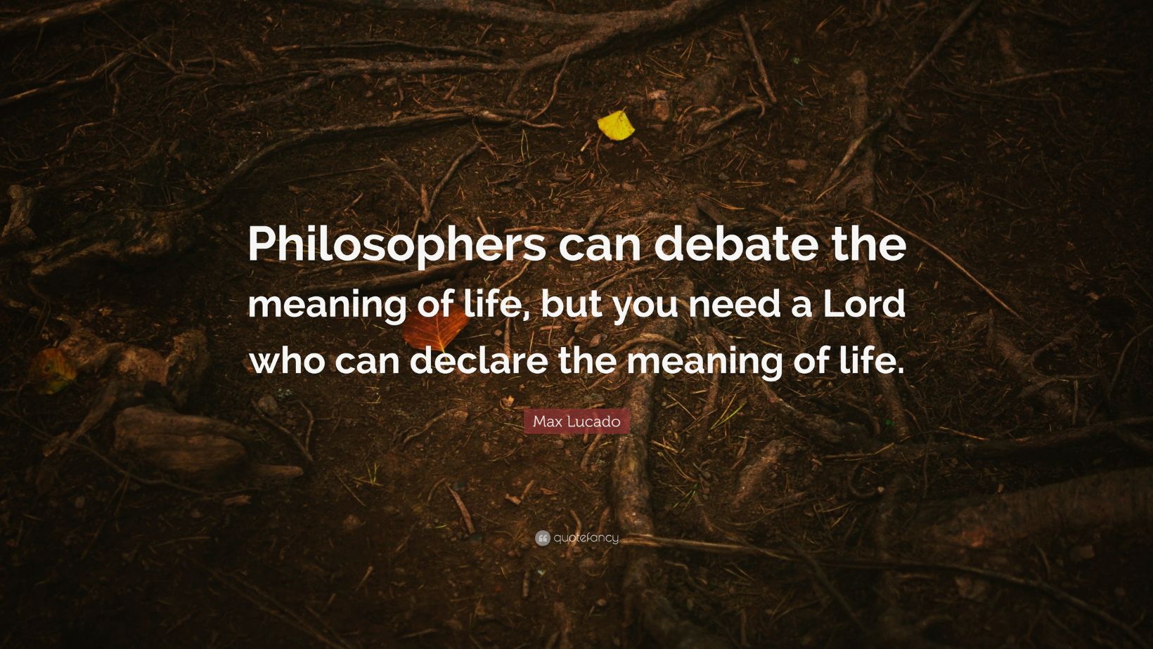 Unlocking the Meaning of Life: Must-Read Books on Philosophy